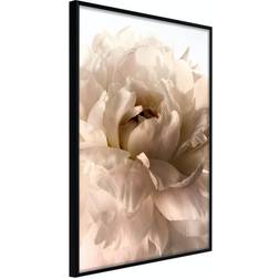 Arkiio Affisch Soft Petals [Poster] 20x30 Poster